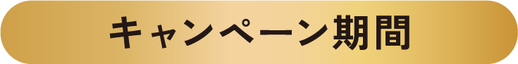 キャンペーン期間