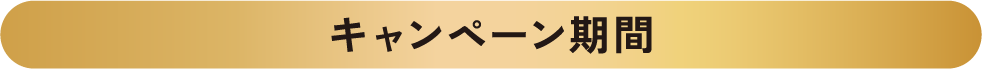 キャンペーン期間